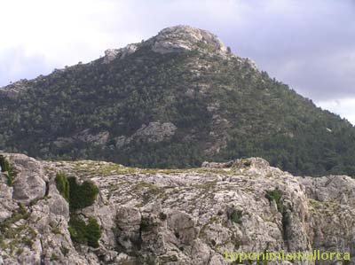 Puig de Lofra